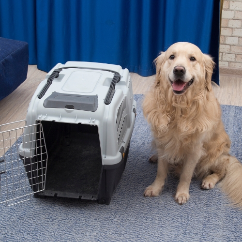 A happy dog sits next to a pet carrier