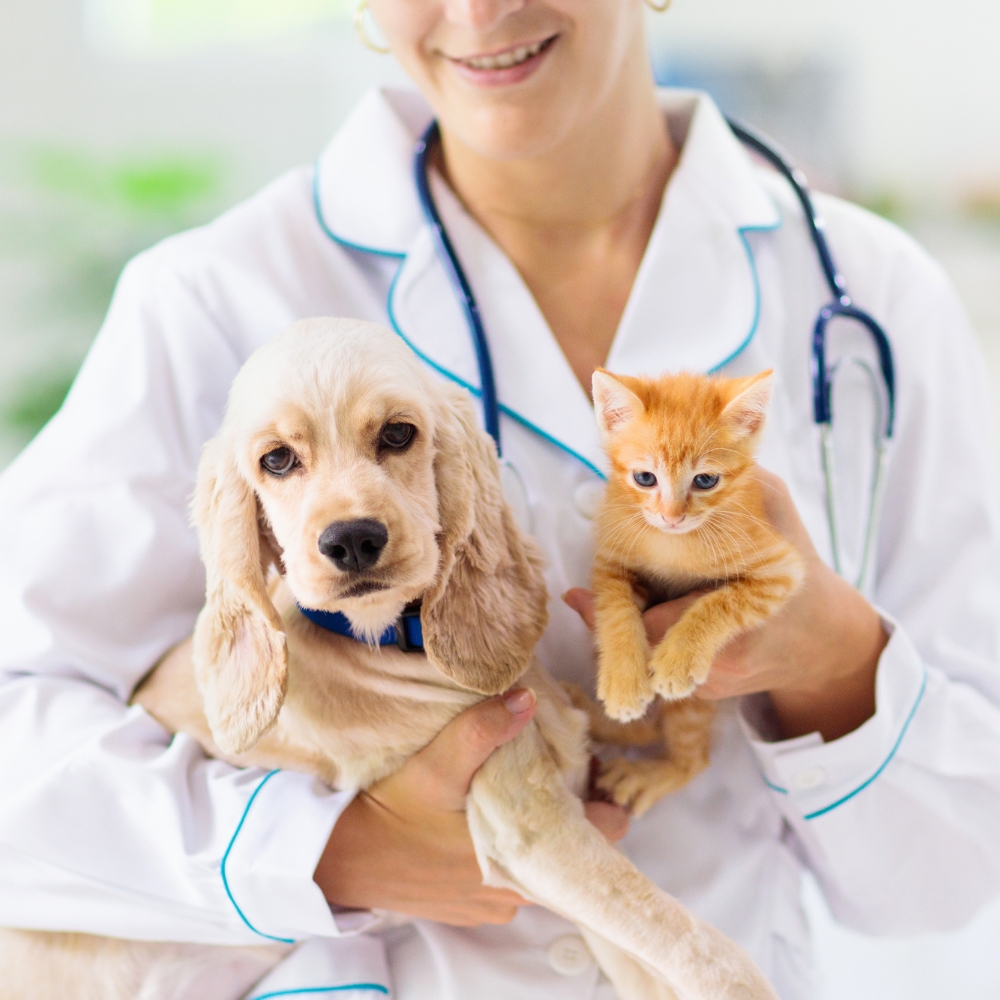A vet holds a puppy and kitten