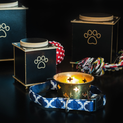 cremation urn for pets